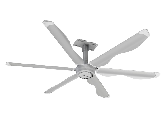 SVG